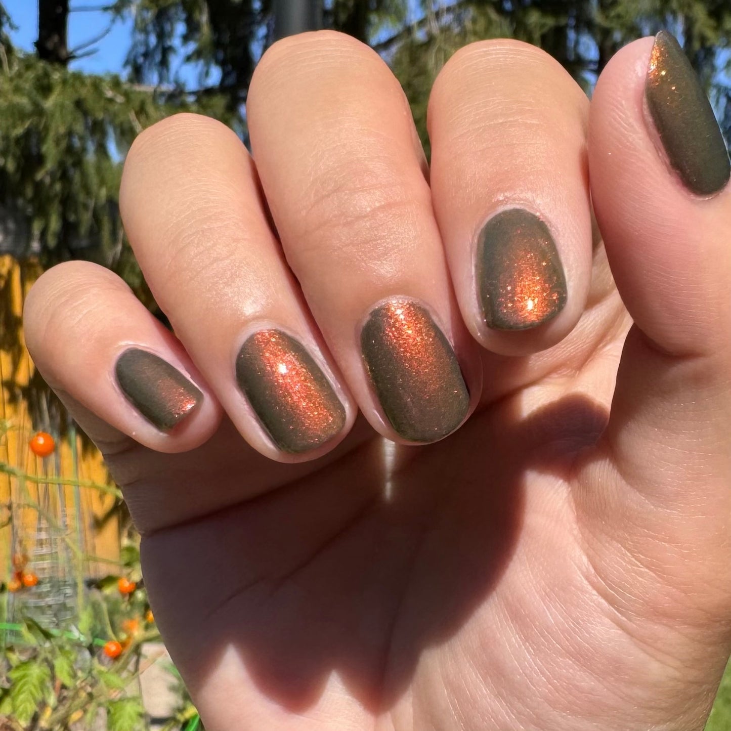 One Ring To Rule Them All