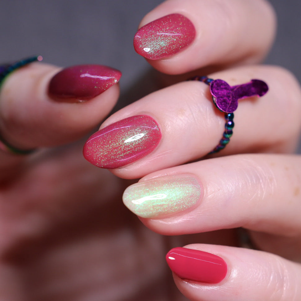 Lotus Petals - *TOPPER*