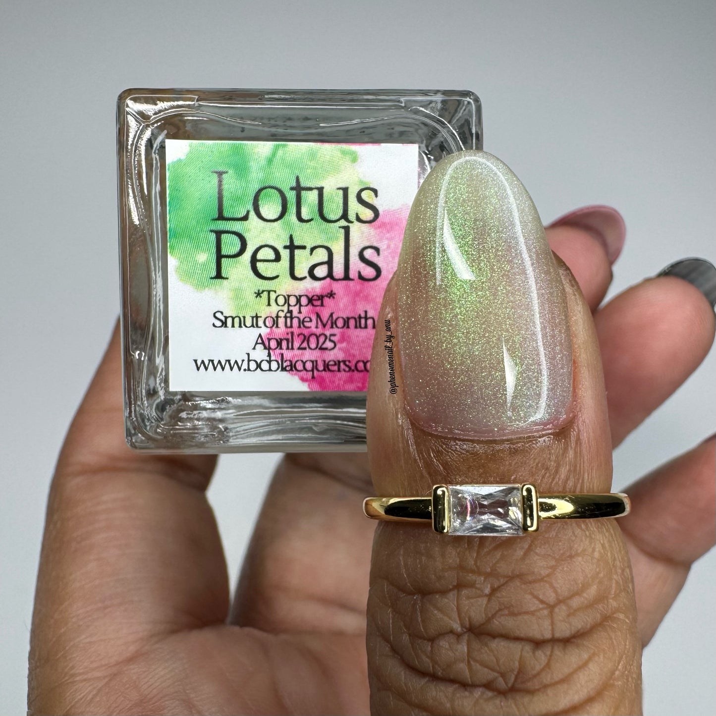 Lotus Petals - *TOPPER*