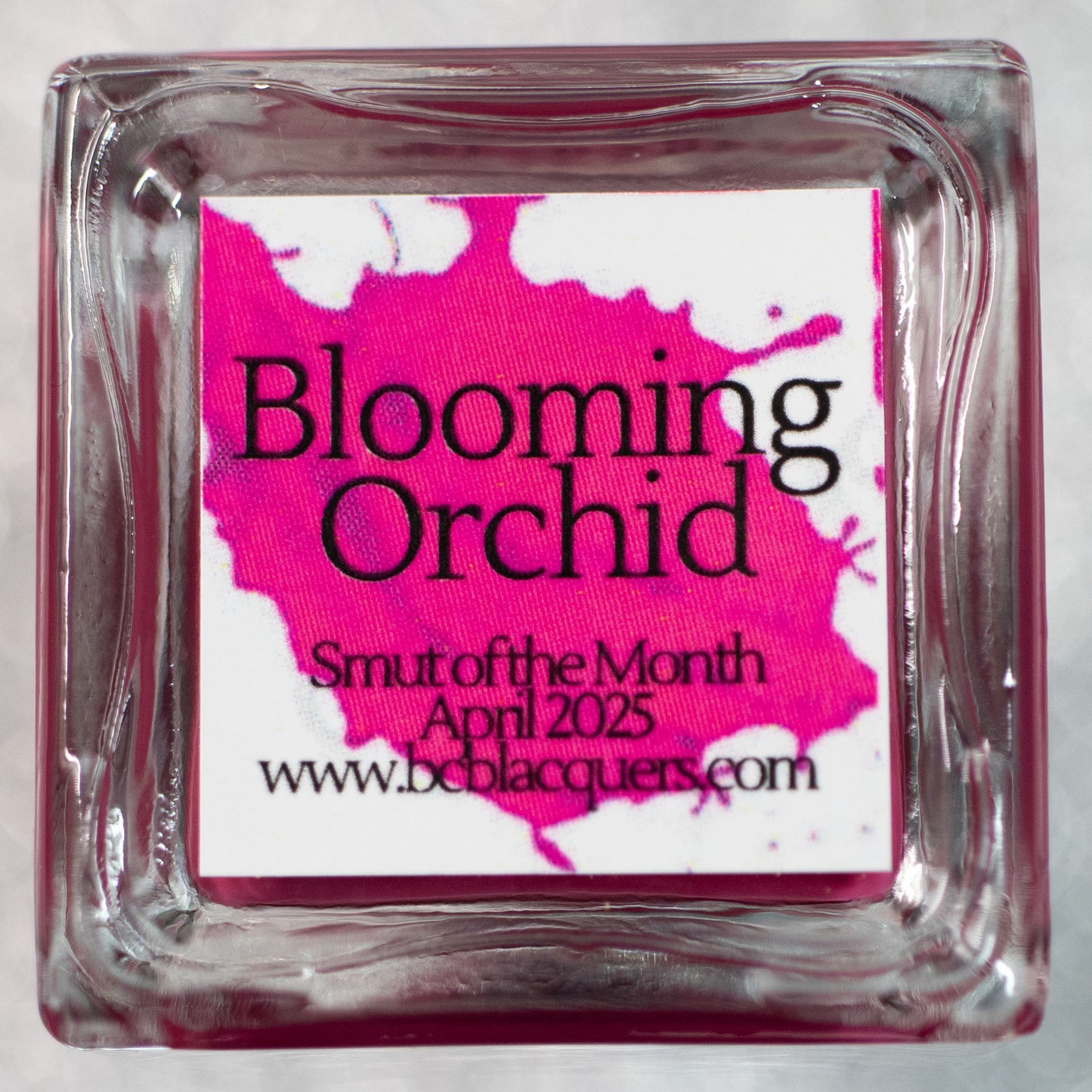 Blooming Orchid
