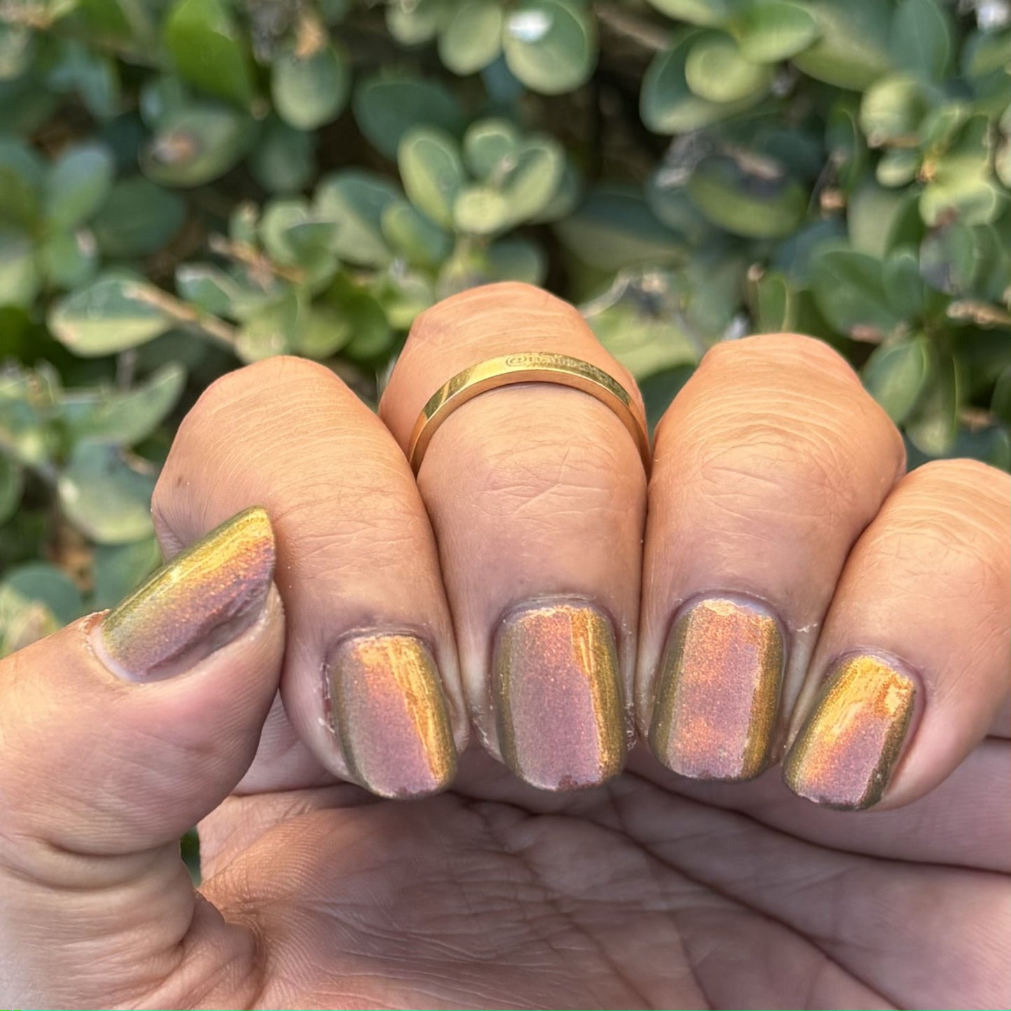 One Ring To Rule Them All