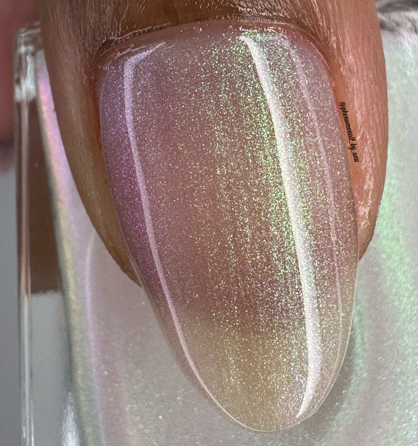 Lotus Petals - *TOPPER*