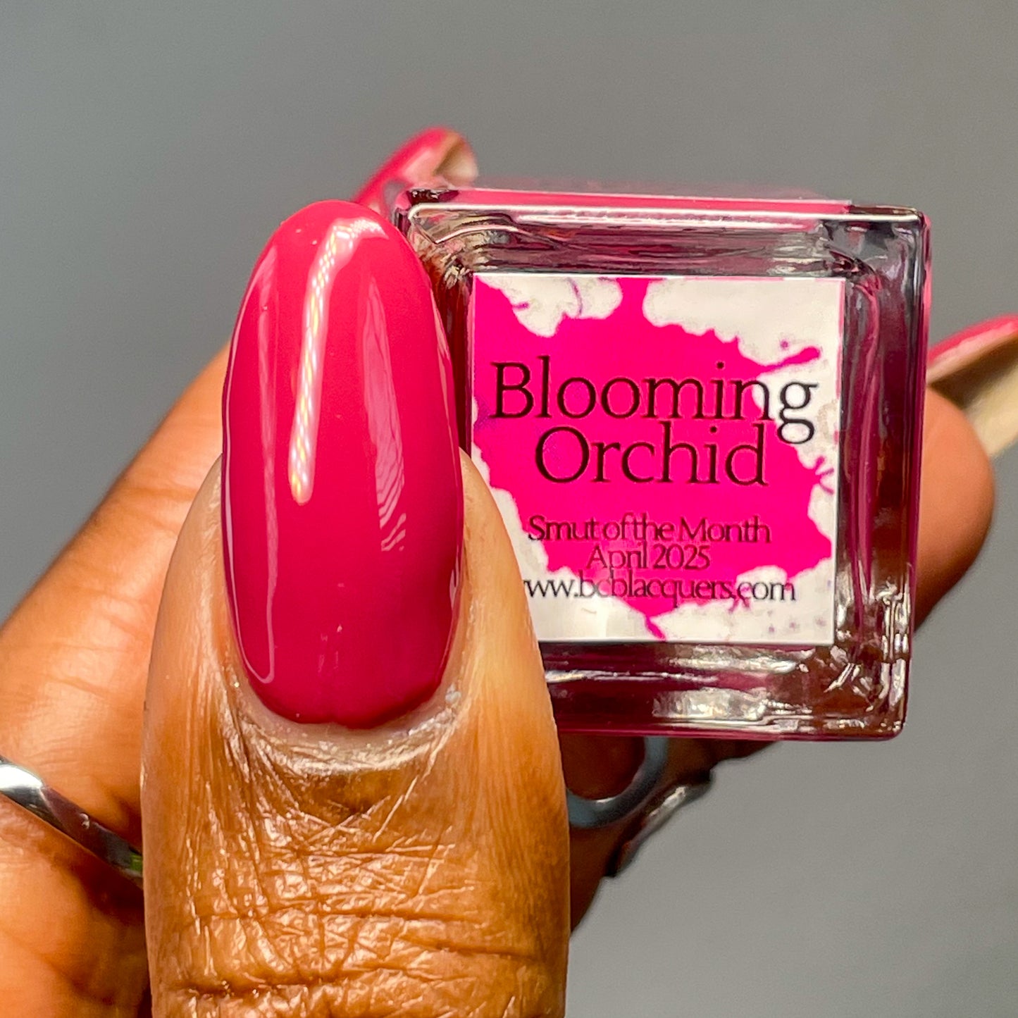 Blooming Orchid