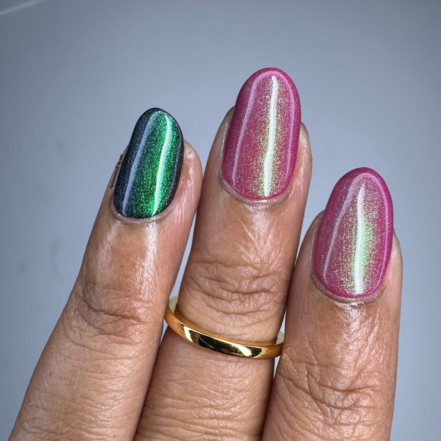 Lotus Petals - *TOPPER*