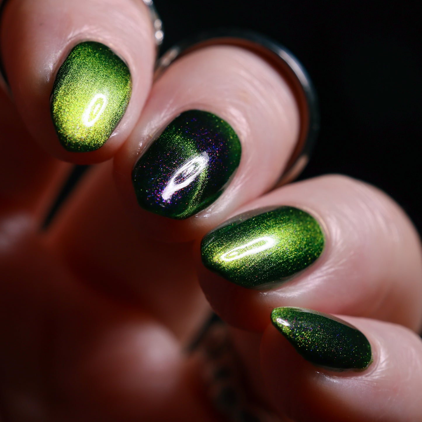 Not All Who Wander Are Lost - *MAGNETIC*