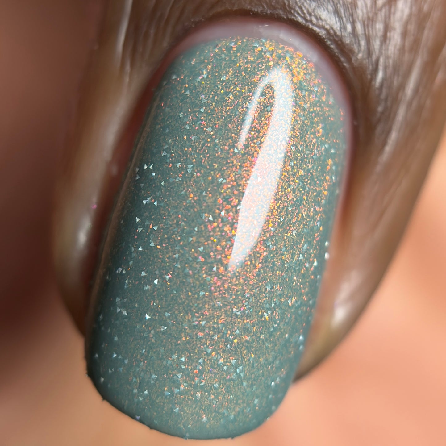 It’s Not The Waking, It’s The Rising - *REFLECTIVE GLITTER*: January Swatcher Showcase