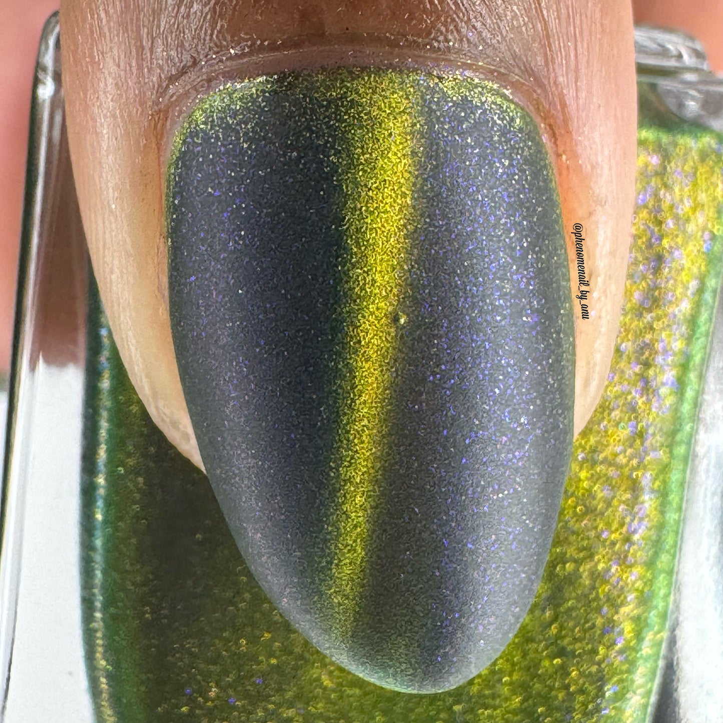 Not All Who Wander Are Lost - *MAGNETIC*