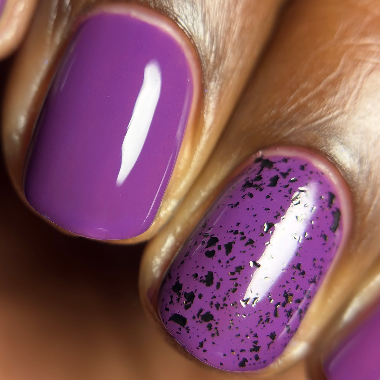Hex Appeal