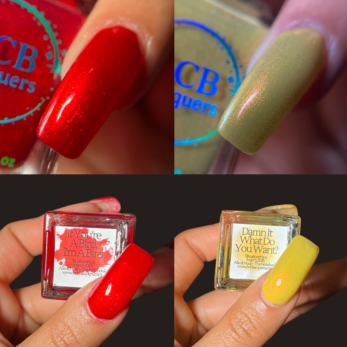 Situationship Duo - March: Allie & Noah(The Notebook)