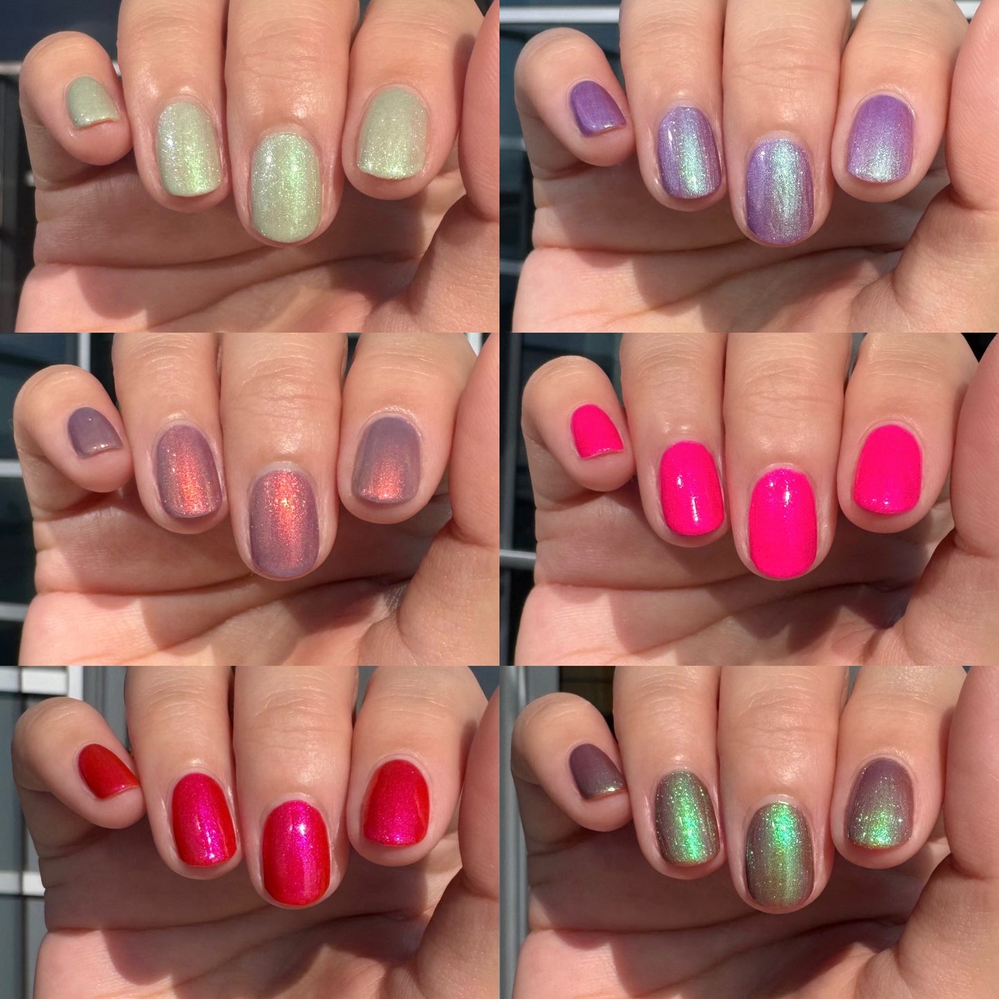 Puppy Things Collection