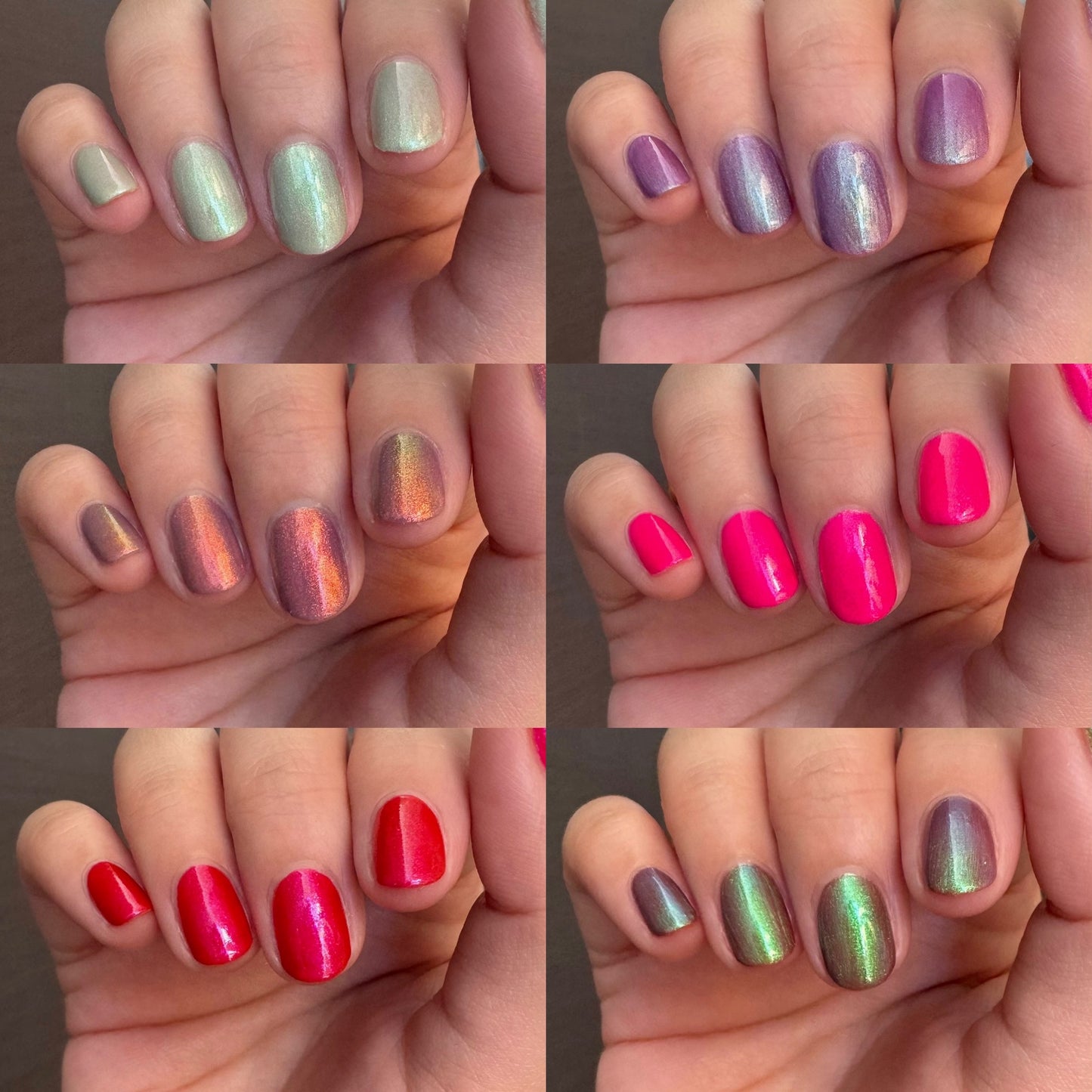 Puppy Things Collection