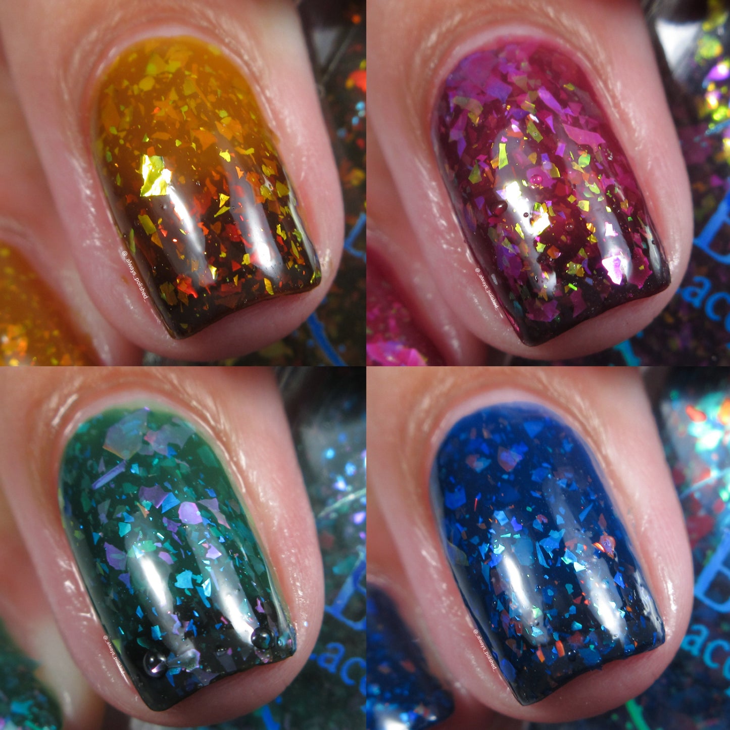 By The Campfire Collection