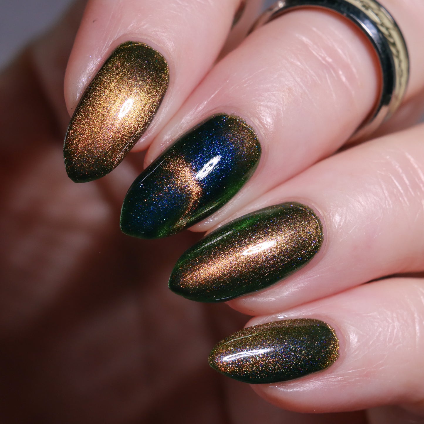 Not All Who Wander Are Lost - *MAGNETIC*