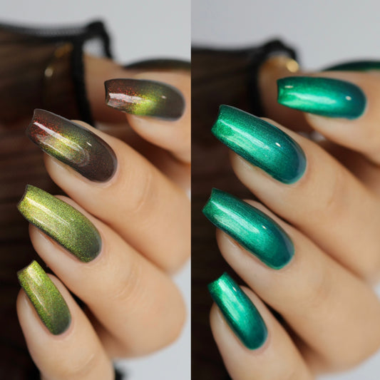 Lord of the Rings Duo