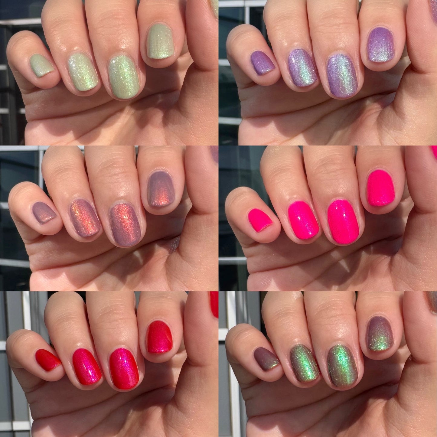 Puppy Things Collection