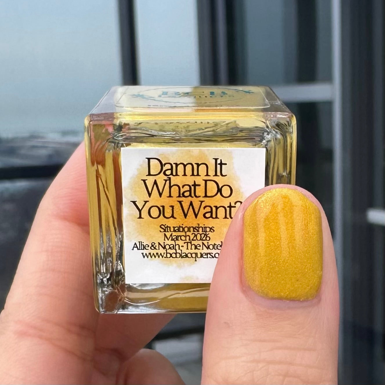 Damn It, What Do You Want?!